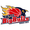 岩手ビッグブルズ ロゴ